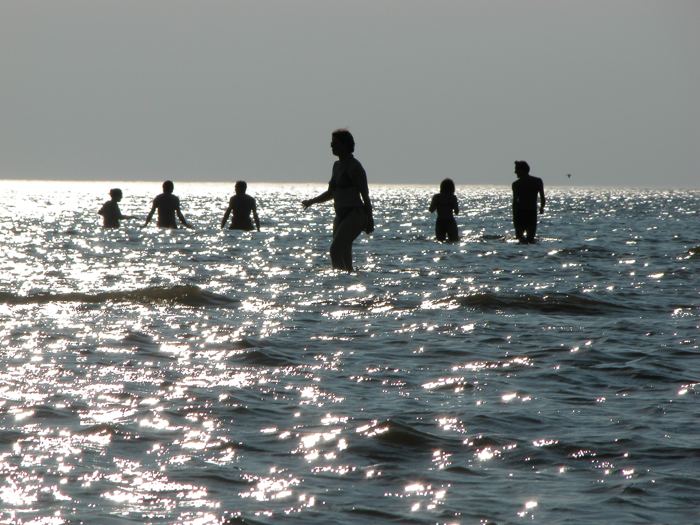 Into the sea