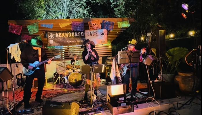 Outdoor show at night